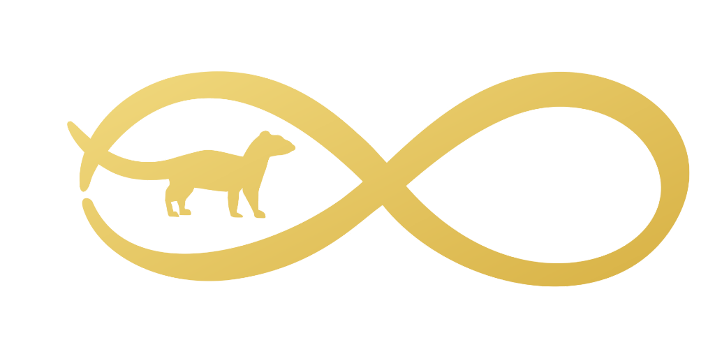 Ihneumon Logo