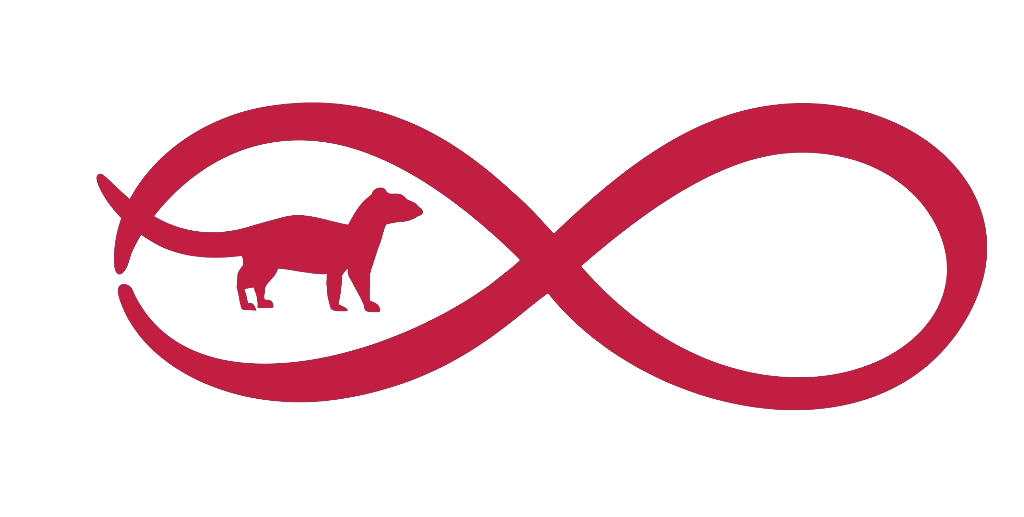Ihneumon